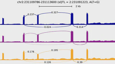 Generate Sashimi plot using pyGenomeTracks featured image
